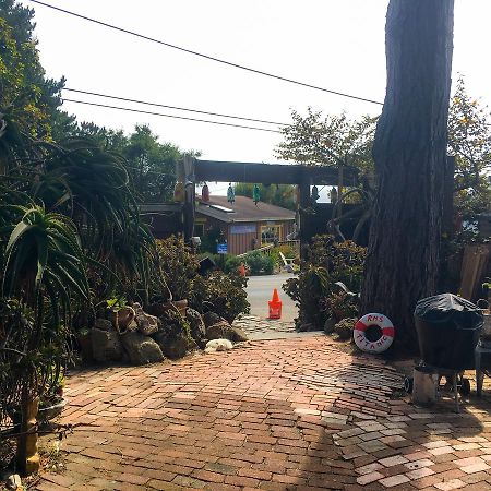 לינה וארוחת בוקר Stinson Beach Redwoods Haus מראה חיצוני תמונה