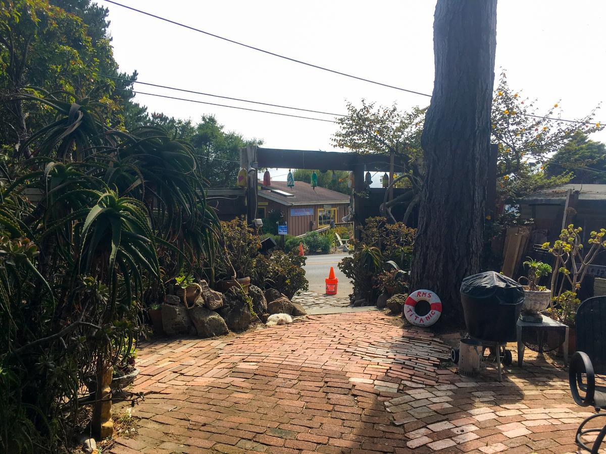 לינה וארוחת בוקר Stinson Beach Redwoods Haus מראה חיצוני תמונה