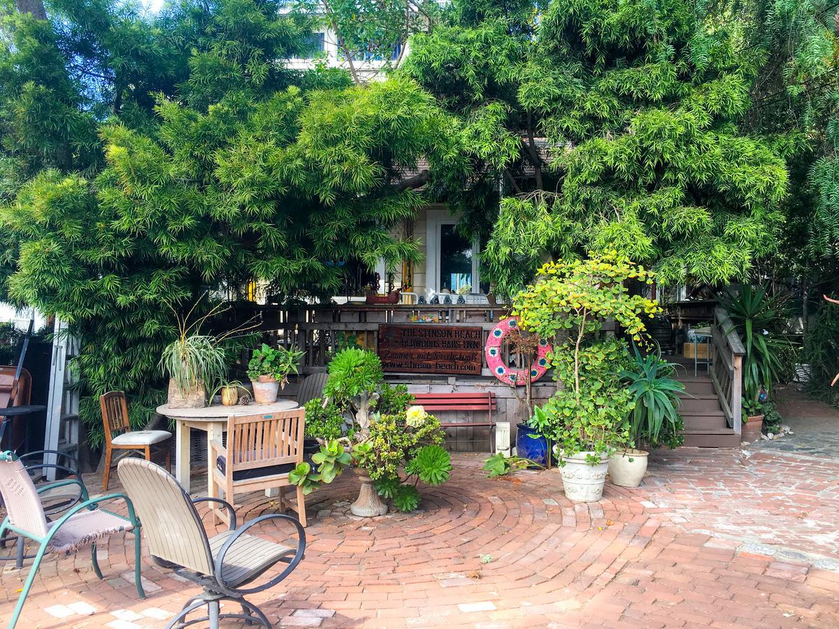 לינה וארוחת בוקר Stinson Beach Redwoods Haus מראה חיצוני תמונה