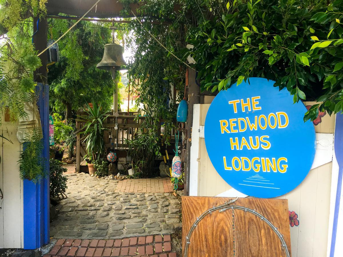 לינה וארוחת בוקר Stinson Beach Redwoods Haus מראה חיצוני תמונה